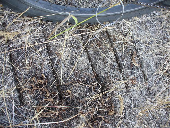 Force of crimp shows well on dry soil with thin vegetative cover