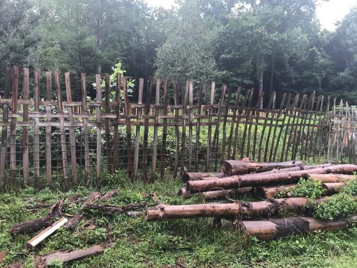 Wooden lathing deer deterrent. 