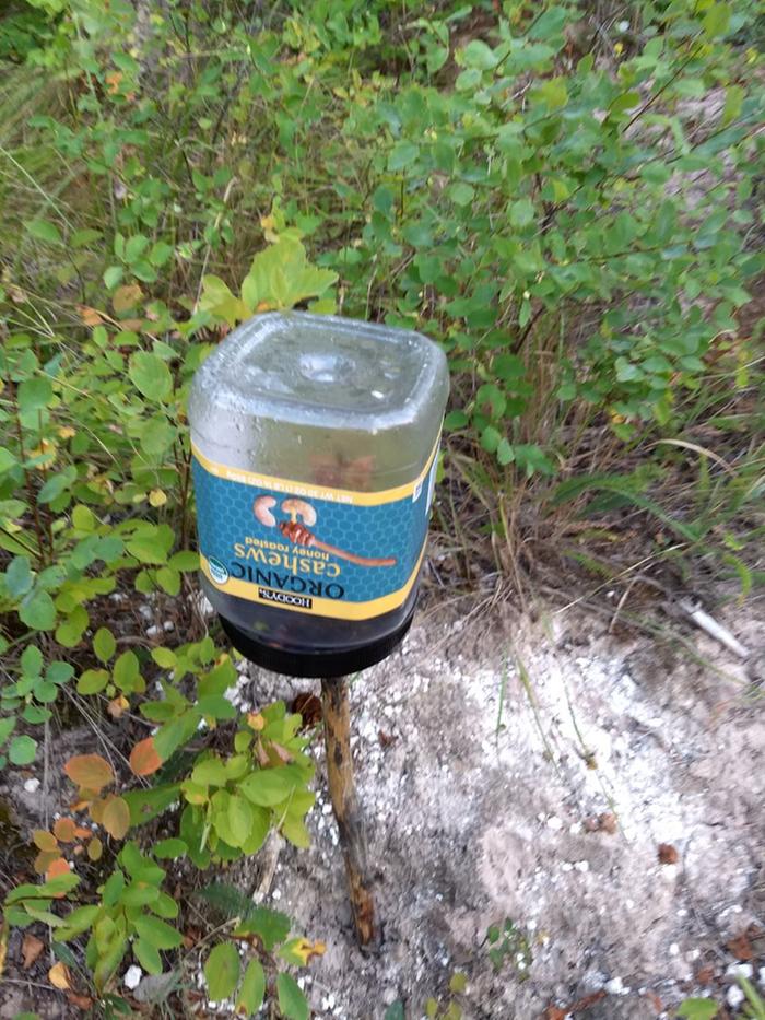 It isn't actually organic honey-roasted cashews... It is mostly wasps and rotting apple