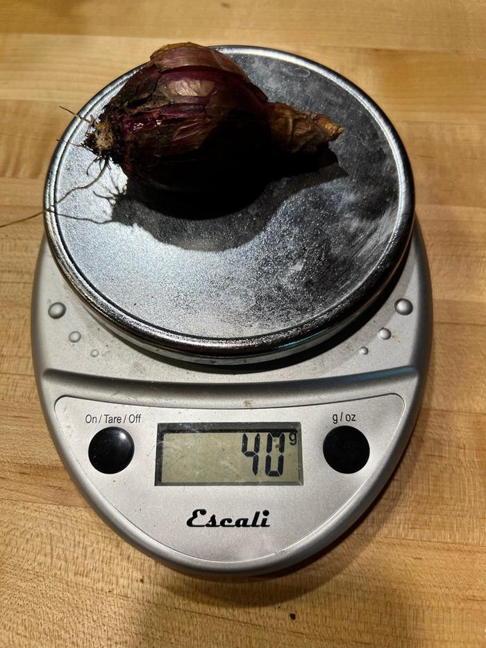 40g red onion = 20 Calories