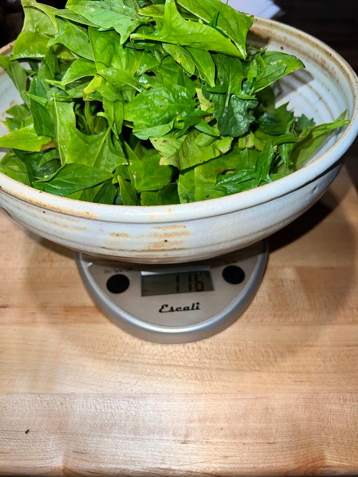 116g spinach = 27 Calories