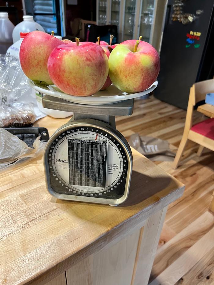 Our first apples!
