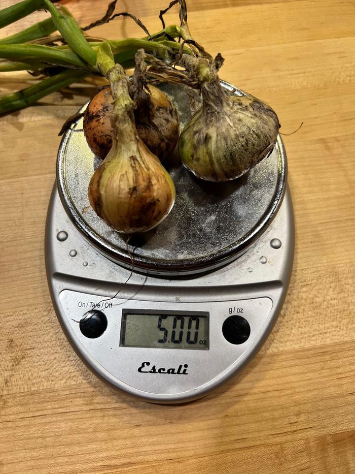A few onions.