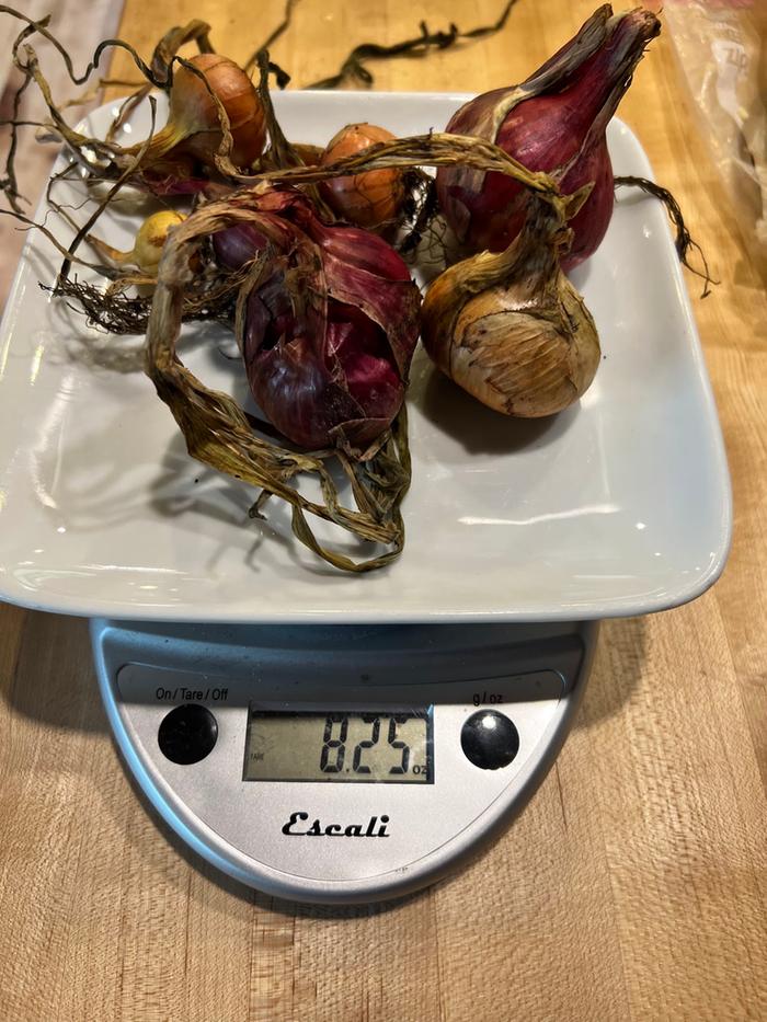 A few more onions...