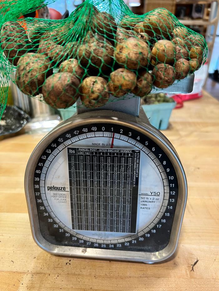 1 lb of little meh tubers from TPS
