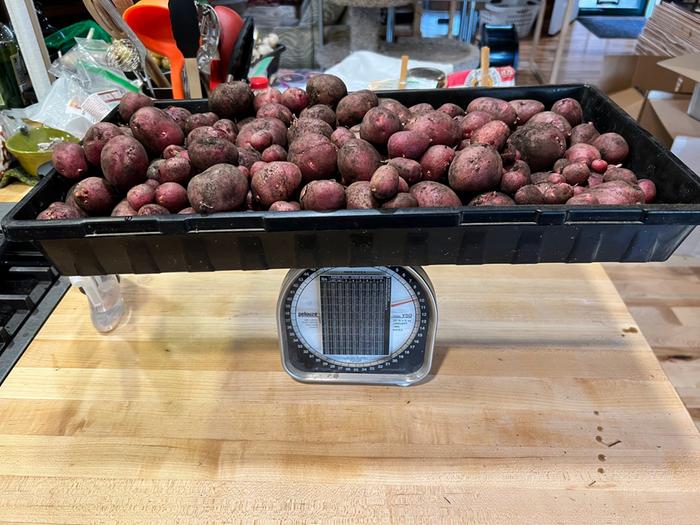 9.5 lbs of reds from TPS