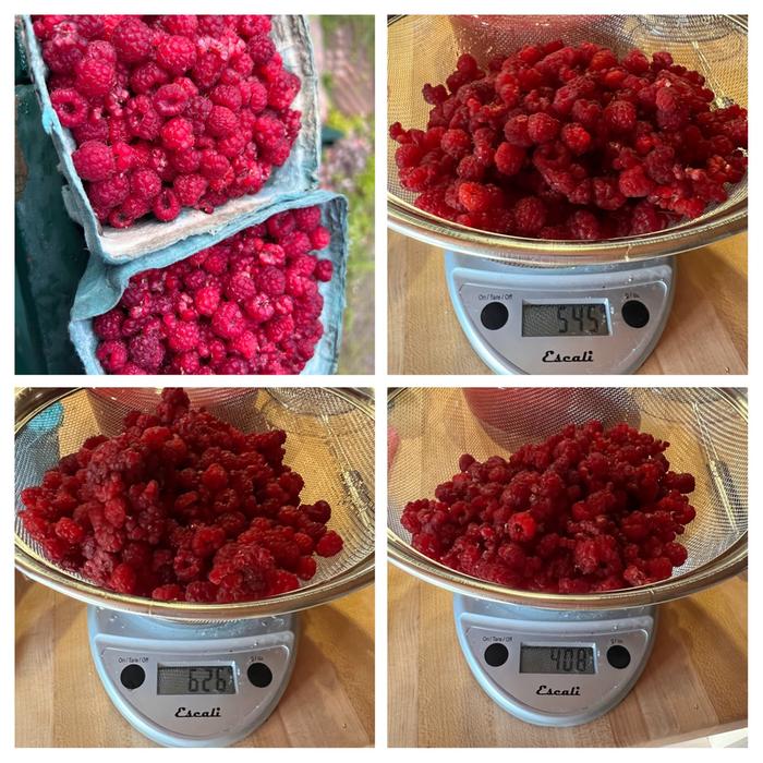 1579g