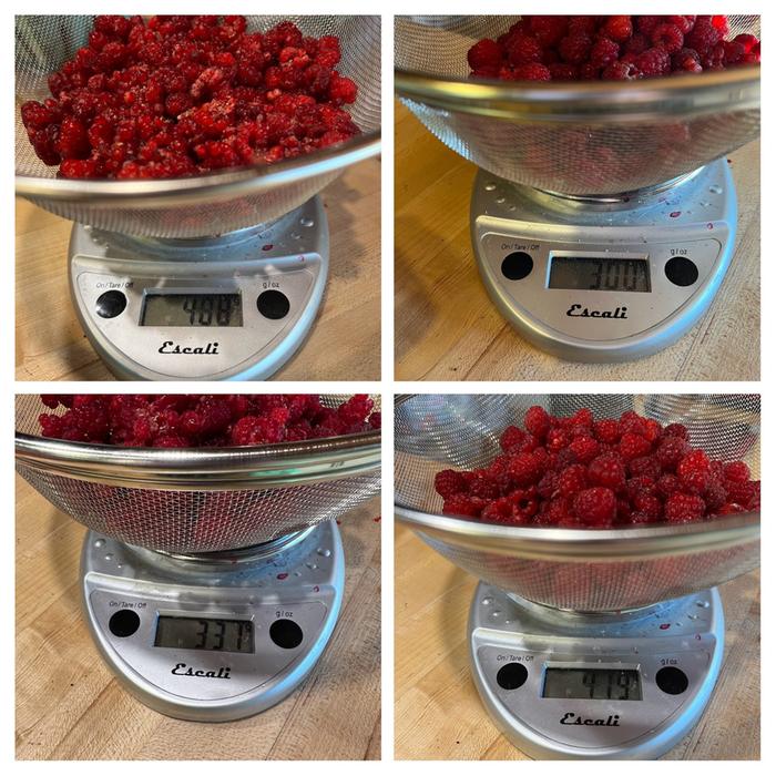 1538g