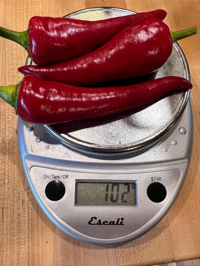 [Thumbnail for chiles01.jpg]