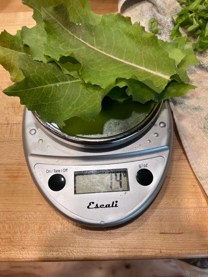 [Thumbnail for lettuce01.jpg]