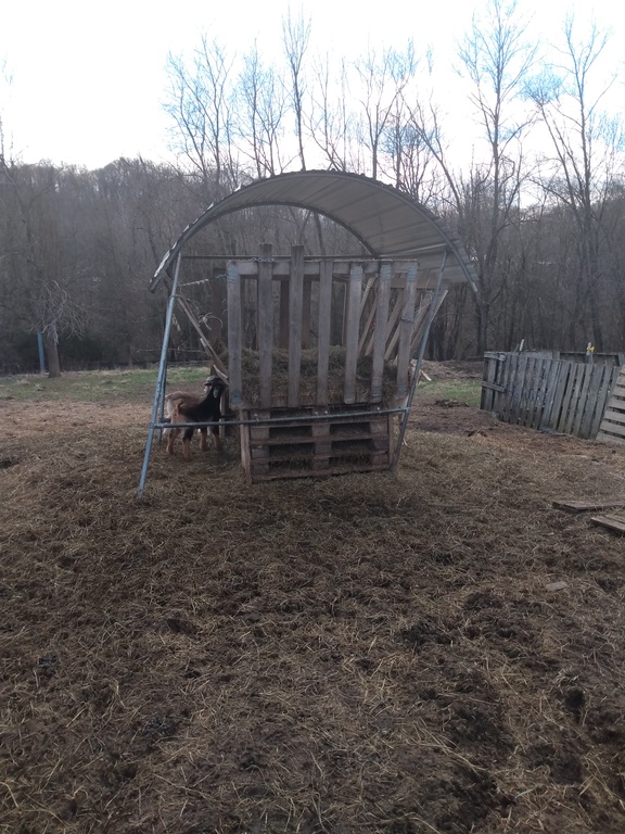 round bale goat feeder 1