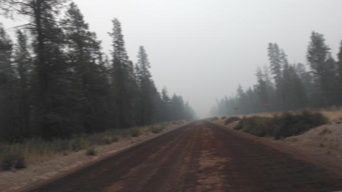 Forest Fire Smoke