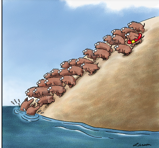 It's smart to have options ...