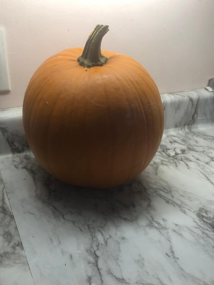 pumpkin on kitchen counter