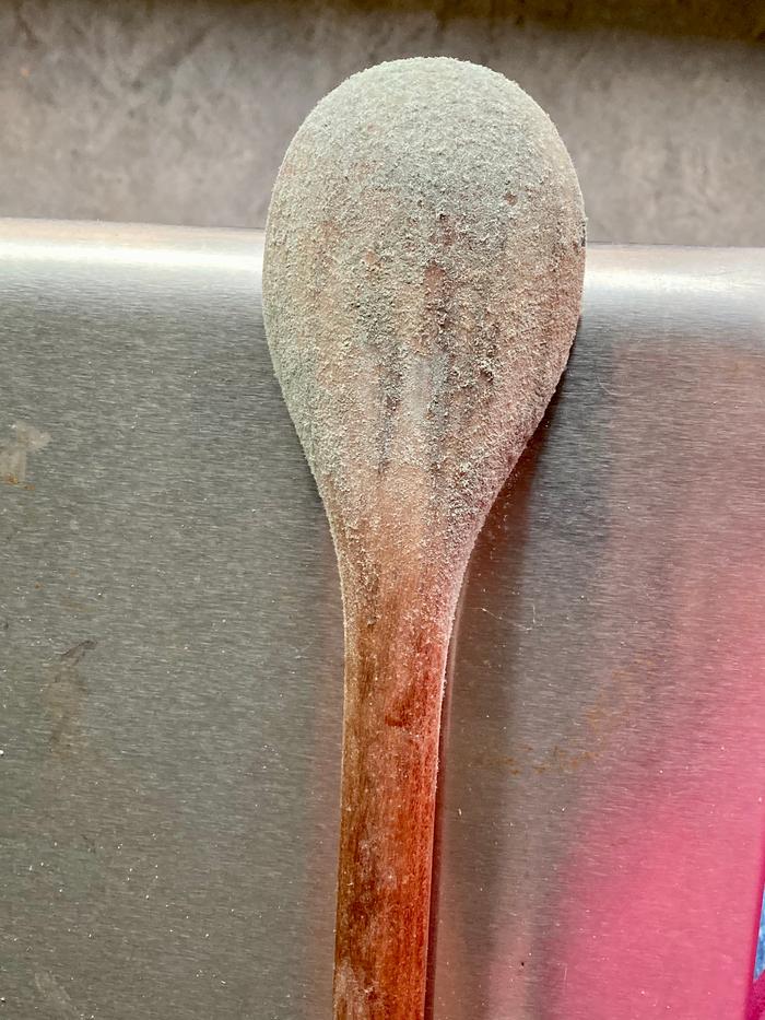 Moldy wood spoon back