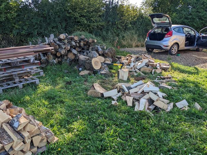 firewood stacked