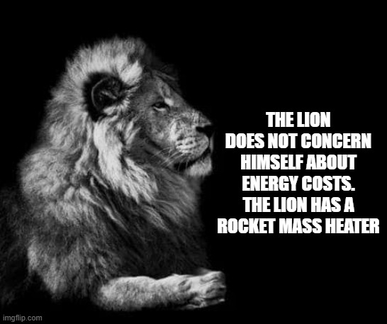 [Thumbnail for Lion-has-a-rocket-mass-heater.jpg]