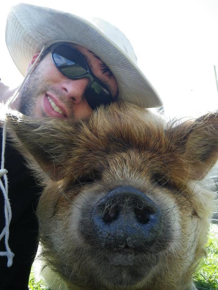 Me with a Kunekune in NZ.