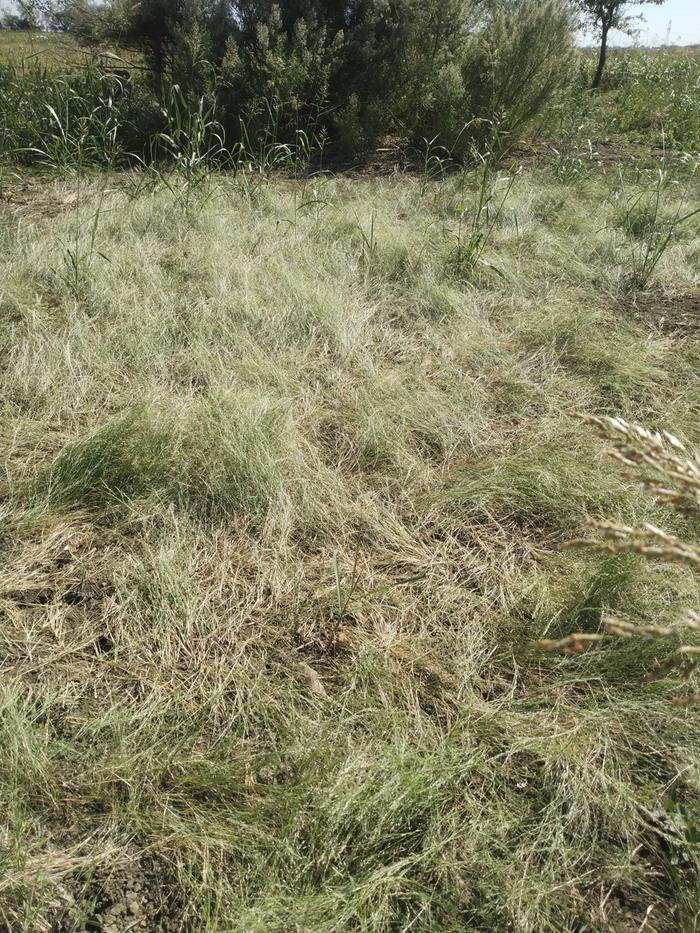 [Thumbnail for IMG_20221013_145603436.jpg]