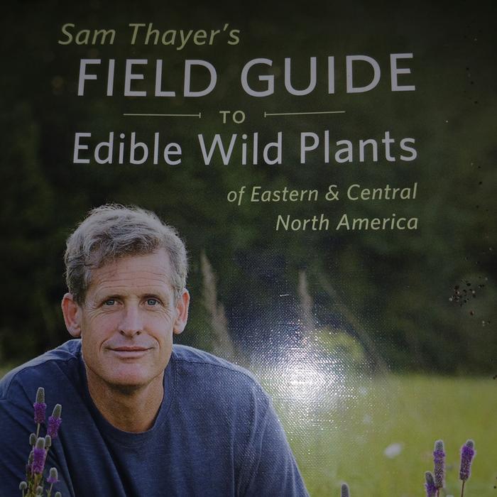 [Thumbnail for 20251107_130824.jpg]