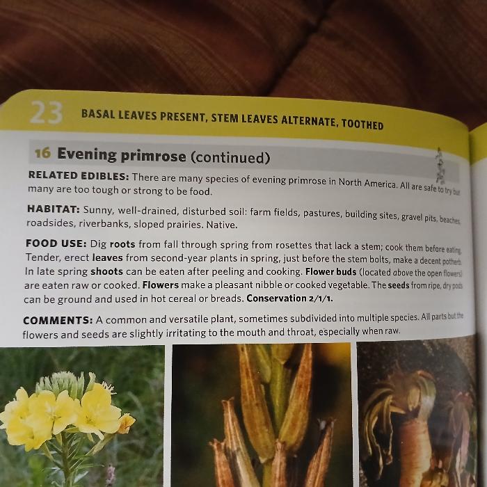 [Thumbnail for 20251107_130801.jpg]