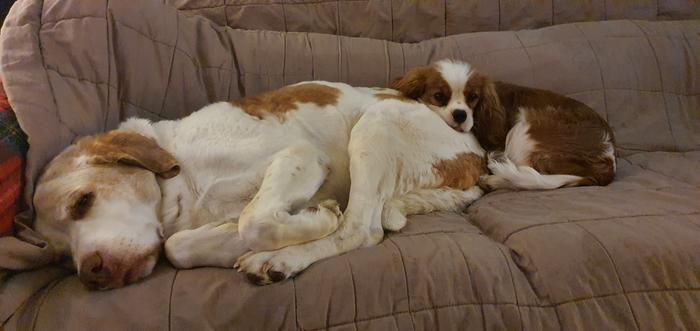 Double trouble