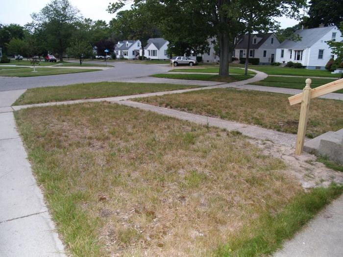 [Thumbnail for front-yard.jpg]