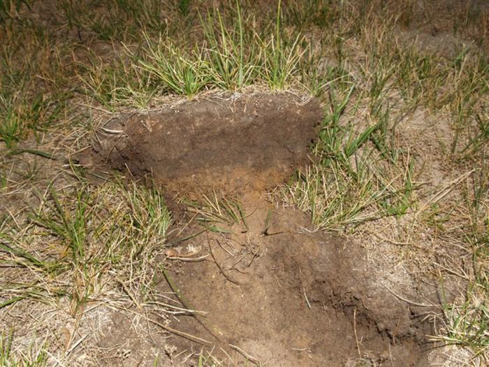 [Thumbnail for topsoil.jpg]