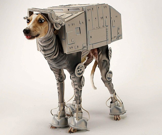 [Thumbnail for imperial-walker-dog.jpg]