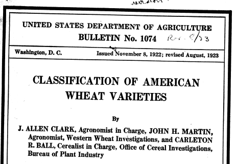 Heritage wheat varieties 1923