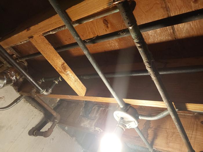 [Thumbnail for 1000005746.jpg]