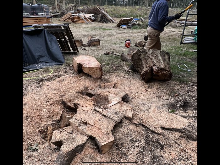 Another stump (mostly) leveled