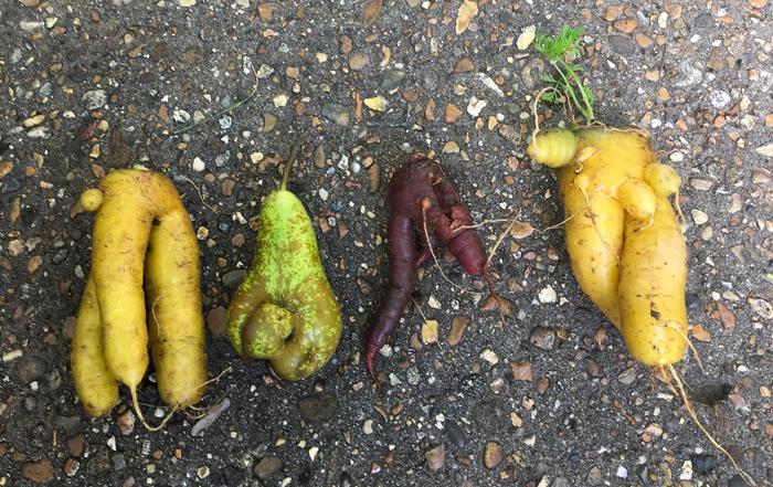 amusing shaped vegetables and fruit