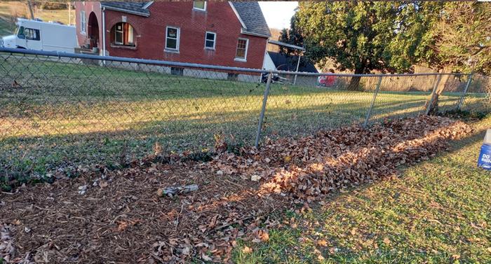 [Thumbnail for Hedge-Mulching.png]