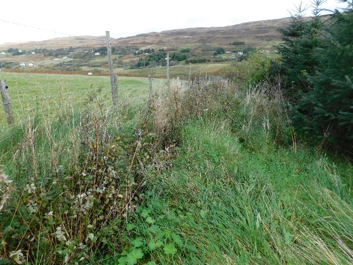 Field Periphery existing deer fence