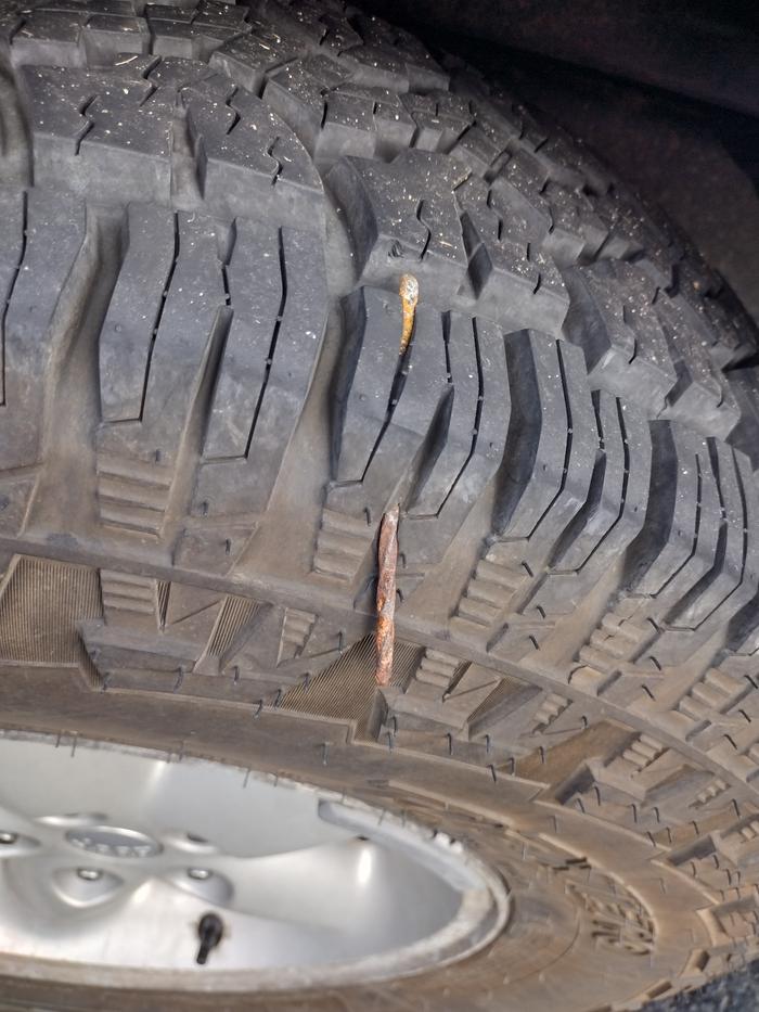 [Thumbnail for IMG_20221102_113400160_HDR.jpg]