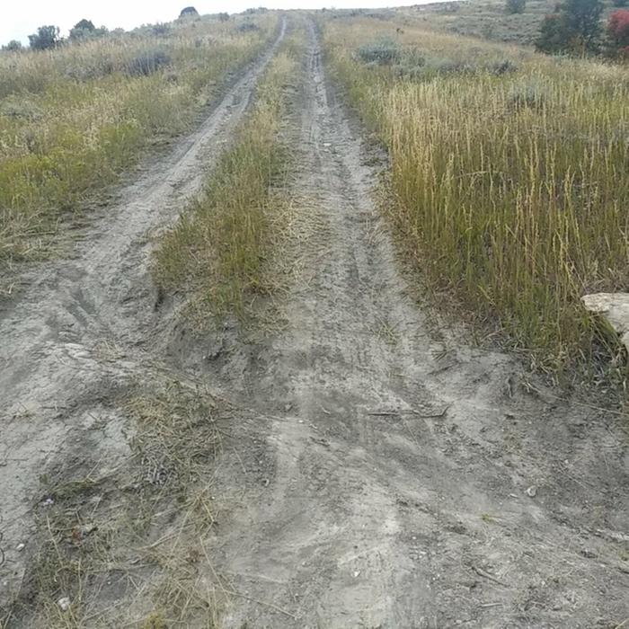 compacted roadway produces runoff during even light storms