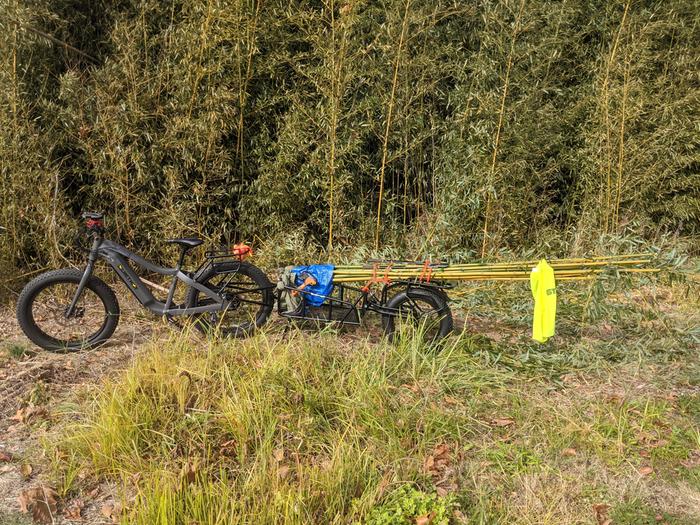 Pioneer hauling 8ft bamboo with optional single wheeled trailer.