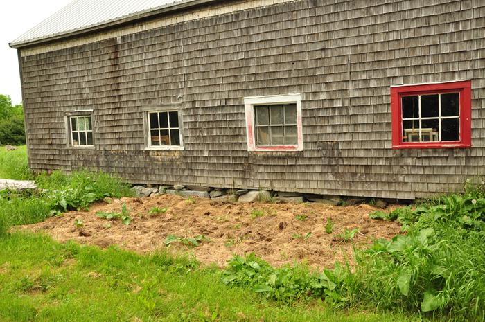 [Thumbnail for Barn-Southside-with-new-Garden-Bed-and-Yellow-Dock.jpg]