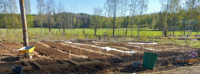 A raised bed garden under construction