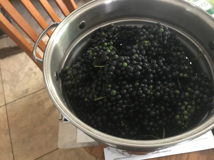 [Thumbnail for 0A6585F7-AE17-4E48-BA24-FC3D2E2F7AF1.jpeg]