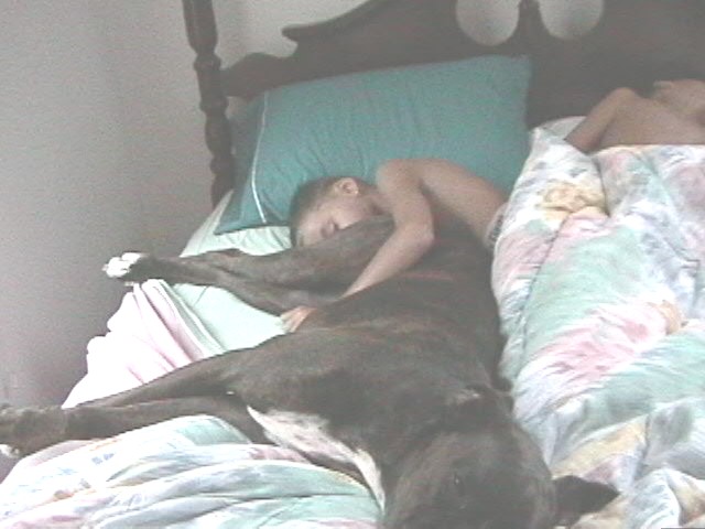 [Thumbnail for morning_breath.jpg]