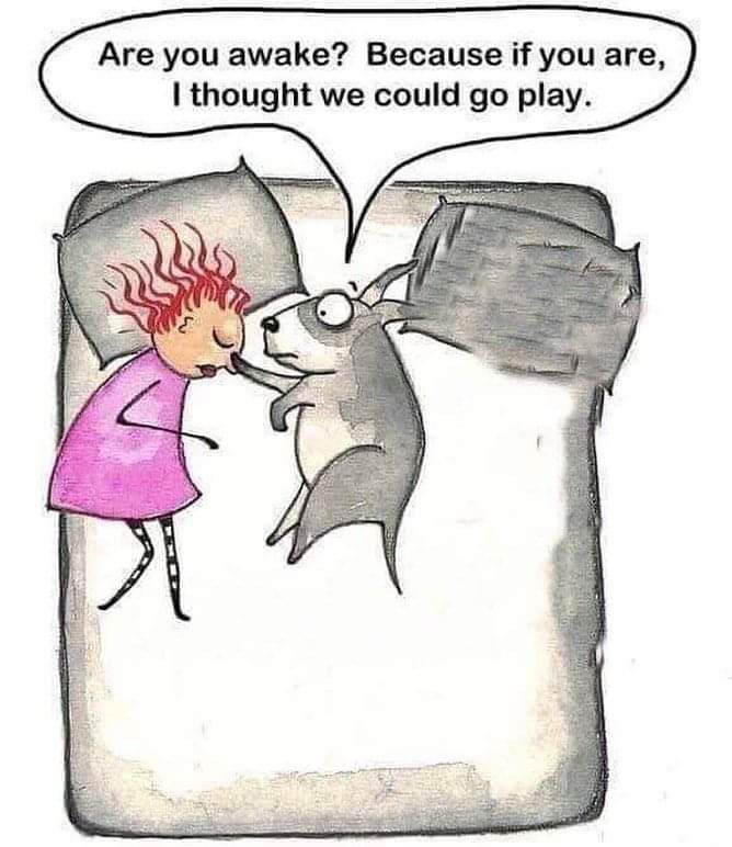 [Thumbnail for FB_IMG_1672851148459.jpg]