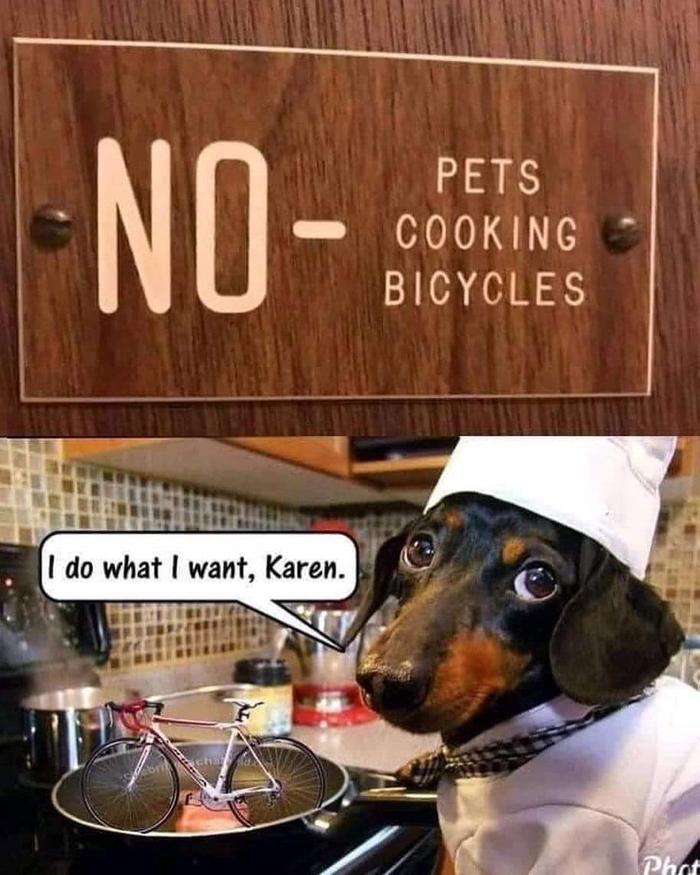 [Thumbnail for FB_IMG_1672596467286.jpg]