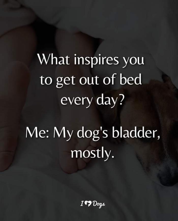 [Thumbnail for received_601096154749338.jpeg]