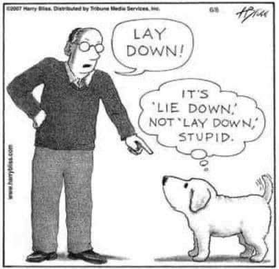 [Thumbnail for FB_IMG_1684284228760.jpg]