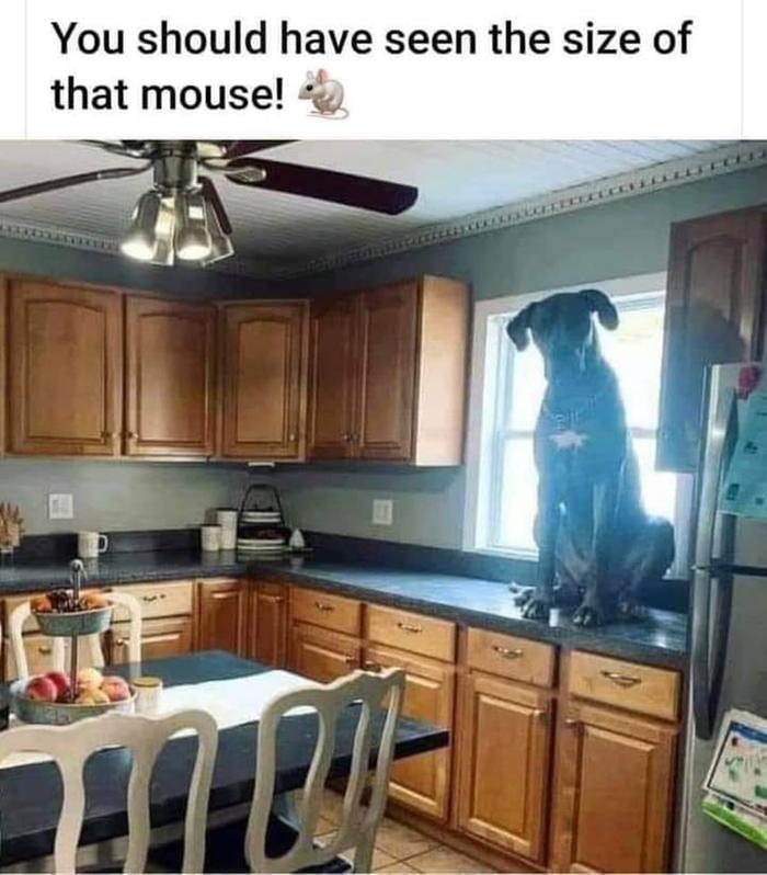 [Thumbnail for FB_IMG_1694478680792.jpg]
