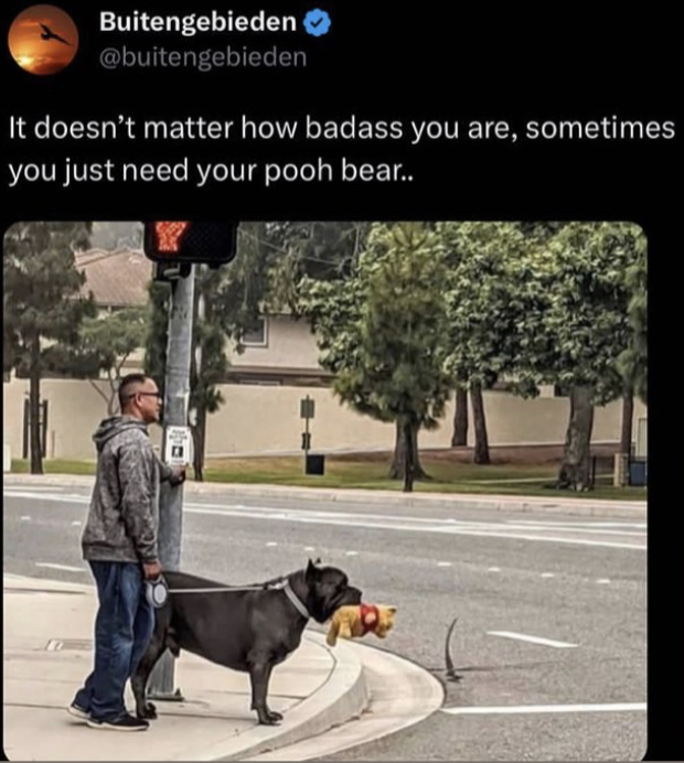 [Thumbnail for Pooh-Bear.png]