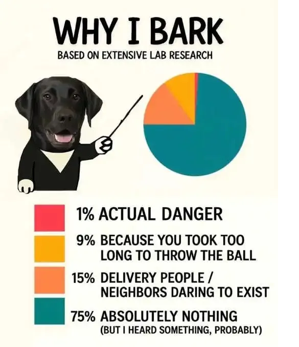 [Thumbnail for dogs.png]