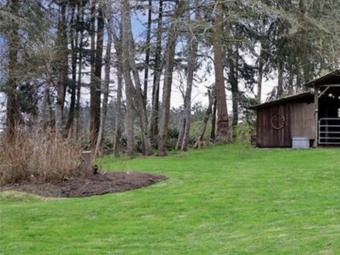 Real Estate listing, a nest of stumps in mulch defilade